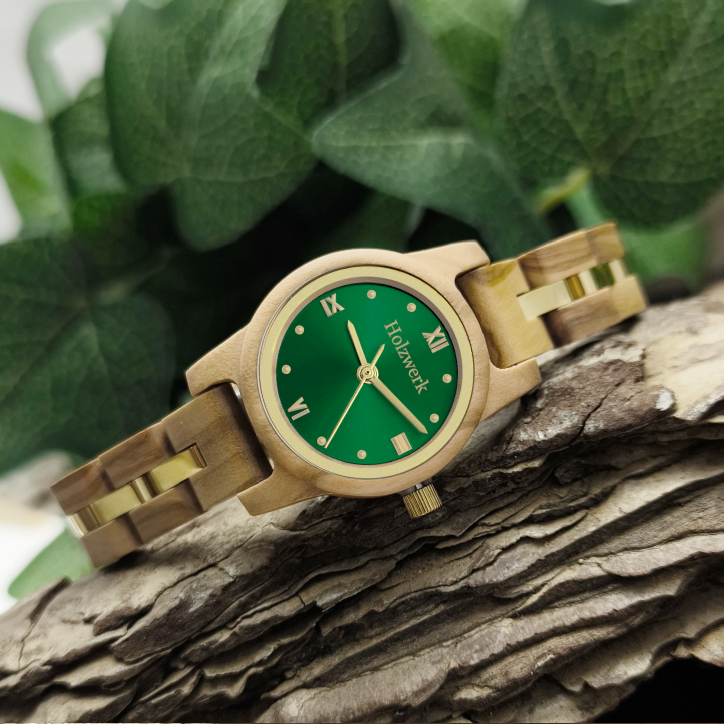 Holzwerk STREHLA Damen Quarz-Armbanduhr aus Olivenholz mit grün-goldenem Zifferblatt in natürlicher Holzumgebung